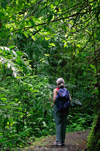 Arenal Hanging Bridges 