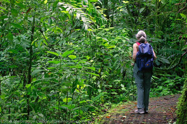 Arenal Hanging Bridges 