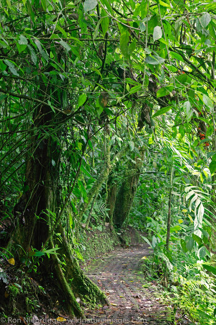 Arenal Hanging Bridges 