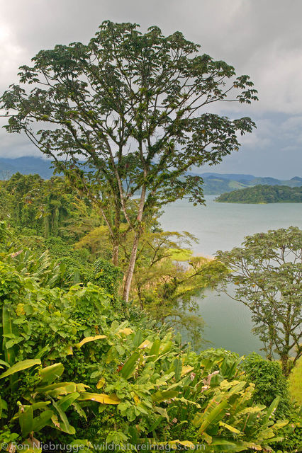Lake Arenal, Costa Rica.