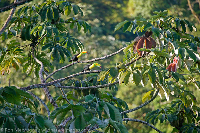 Costa Rica