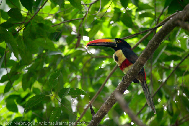 Manuel Antonio, Costa Rica