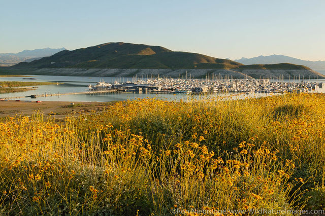 Lake Mead Marina in Boulder Harbor