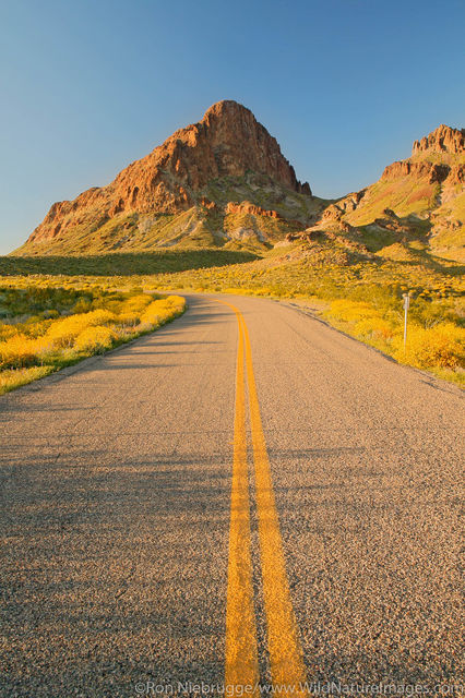 Route 66