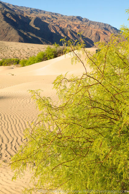 Death Valley National Park