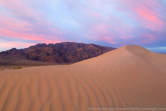 Sand Dunes