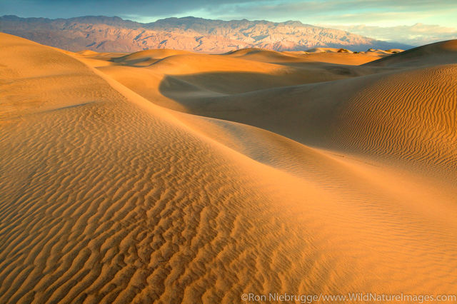 Mojave Desert Photos