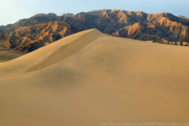 Sand Dunes