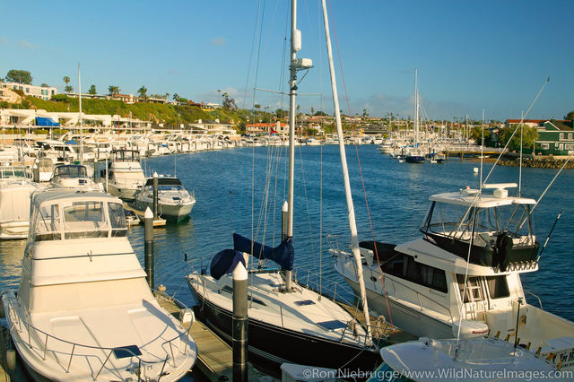 Newport Harbor