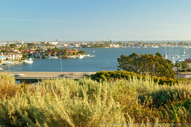 Newport Harbor
