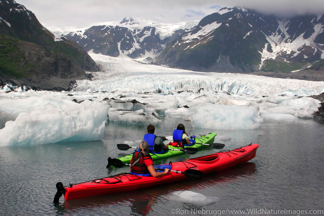 Kayaking in Pedersen Lagoon