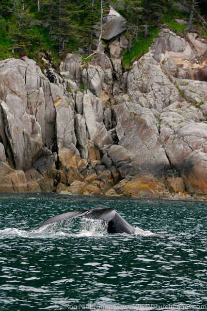 Kenai Fjords National Park