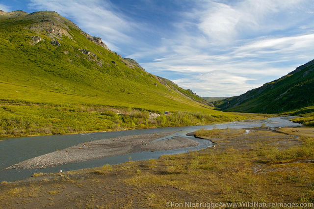 Denali National Park