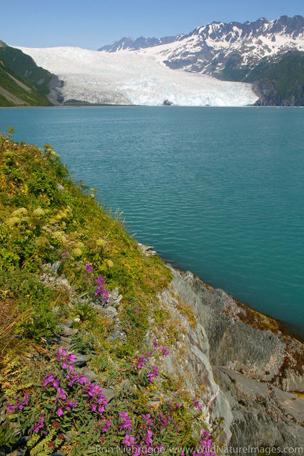 Kenai Fjords National Park