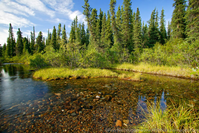 Denali National Park