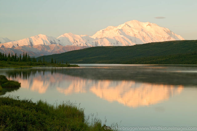 Denali National Park