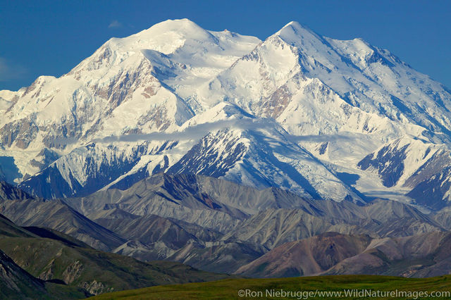 Mt Denali