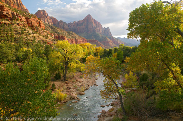North Fork Virgin River and The Watchman
