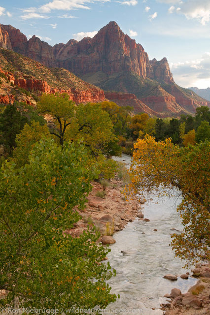 North Fork Virgin River and The Watchman