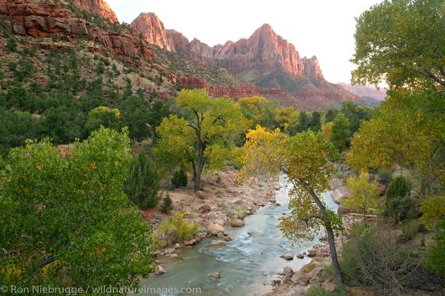 North Fork Virgin River and The Watchman