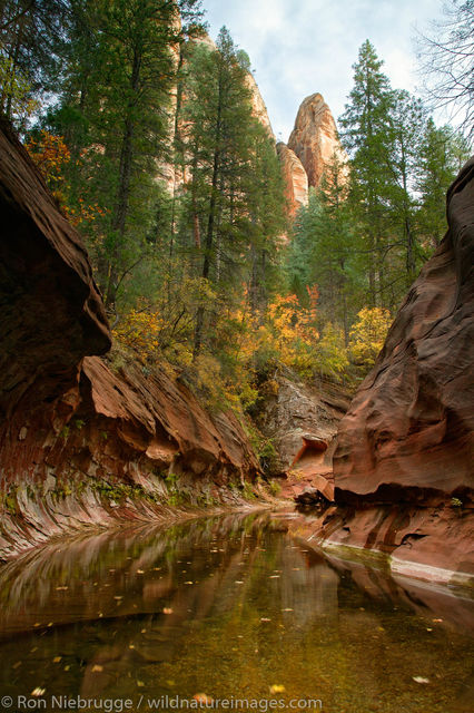 West Fork of Oak Creek trail