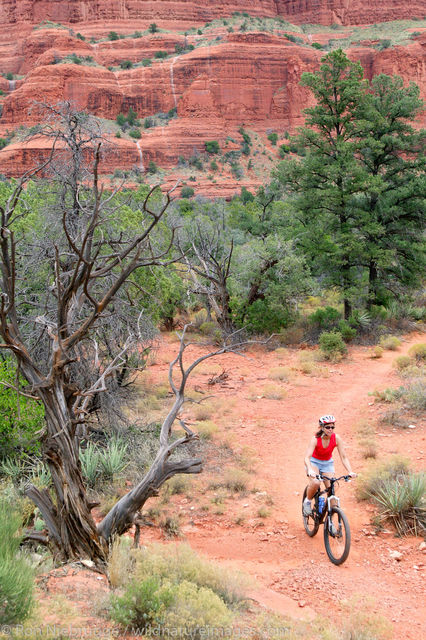 mountain biking near Bell Rock