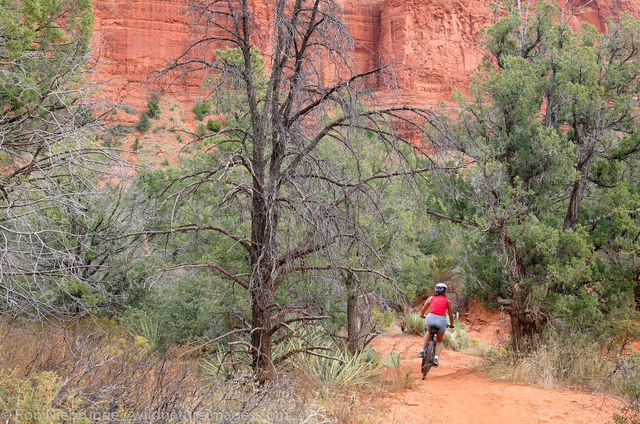 mountain biking near Bell Rock