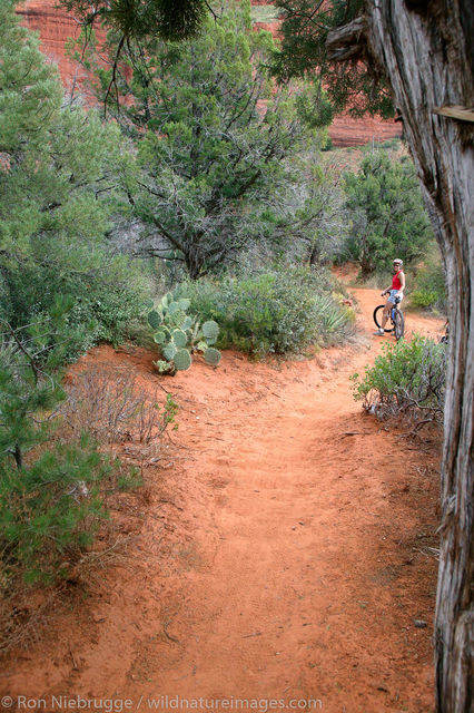 mountain biking near Bell Rock
