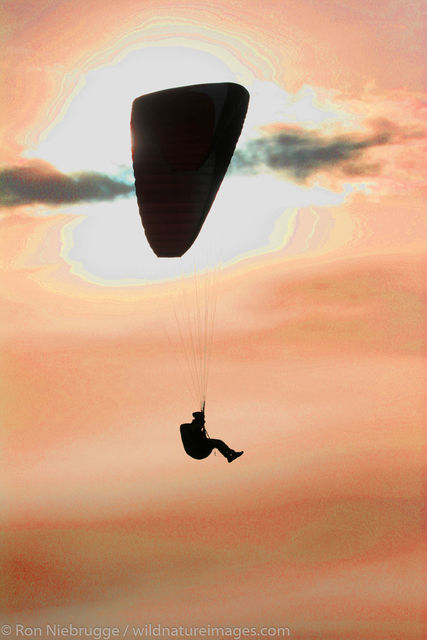 A paraglider above Torrey Pines