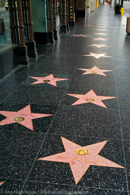 Stars on the Hollywood Walk of Fame