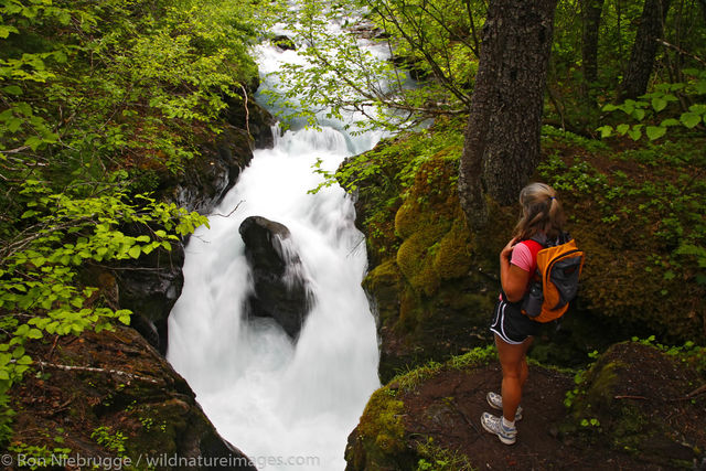 Winner Creek Gorge Trail