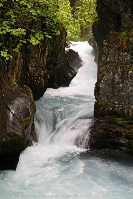 Winner Creek Gorge Trail