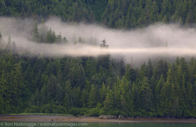 Chugach National Forest