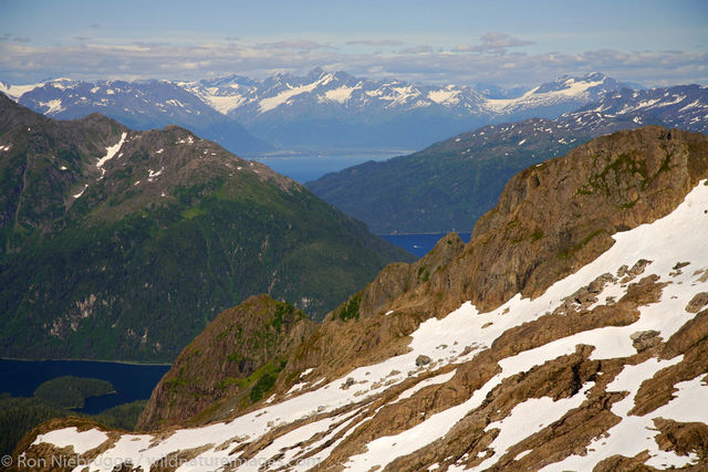 Prince William Sound