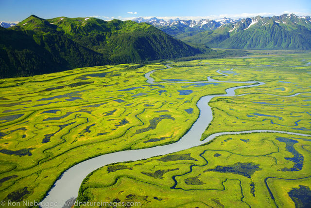 Copper River Delta