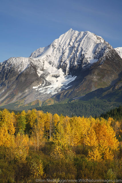 Chugach National Forest