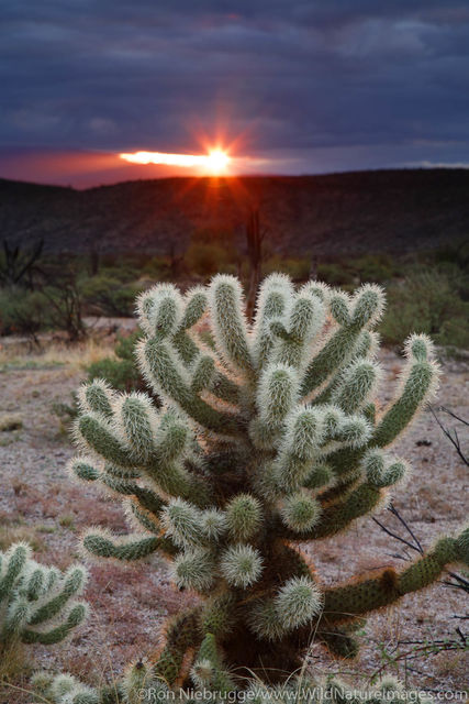 McDowell Mountain Regional Park