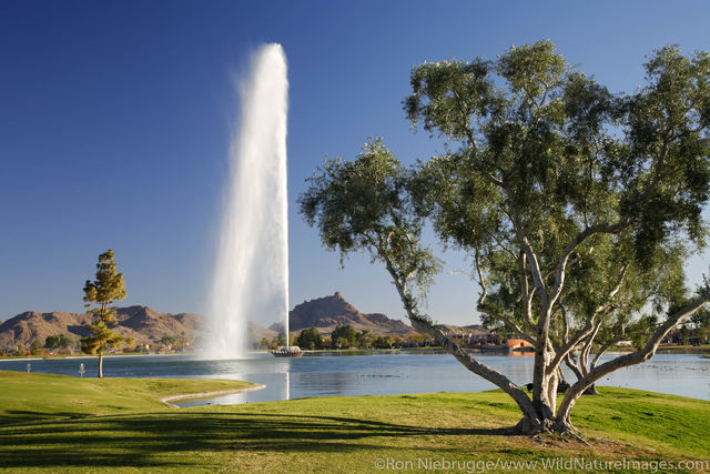 Fountain Hills, AZ