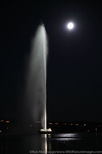 The fountain at night