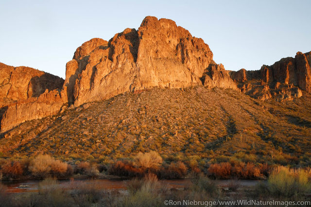 Tonto National Forest