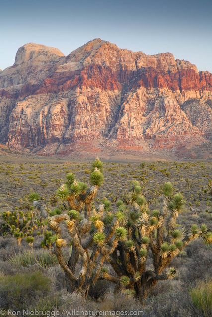 Bridge Mountain