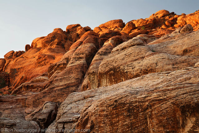 Red Rock Canyon
