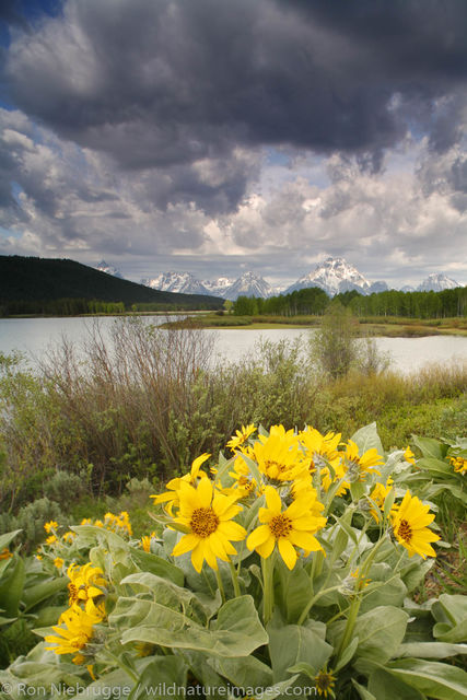 Grand Teton National Park