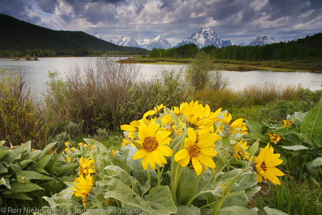 Grand Teton National Park