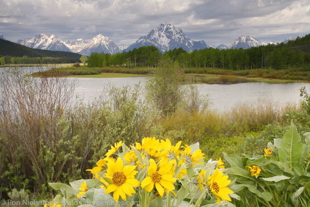 Grand Teton National Park