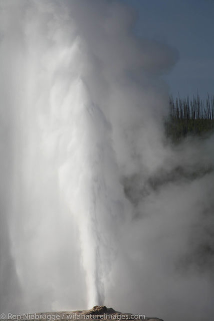 Old Faithful gyser