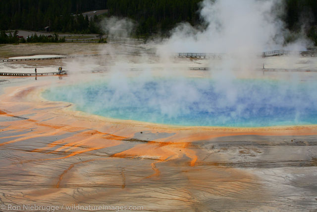 Grand Prismatic Spring