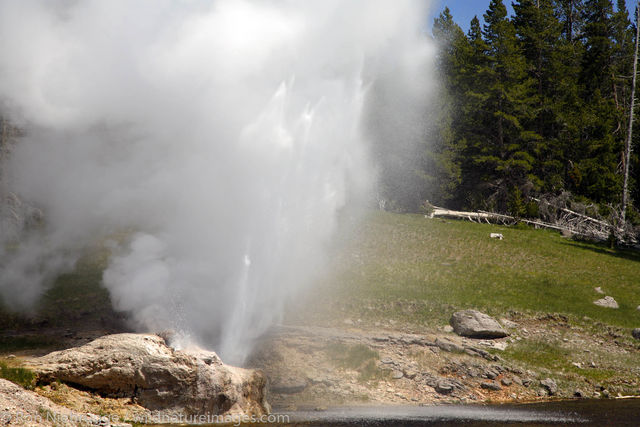 Riverside Geyser