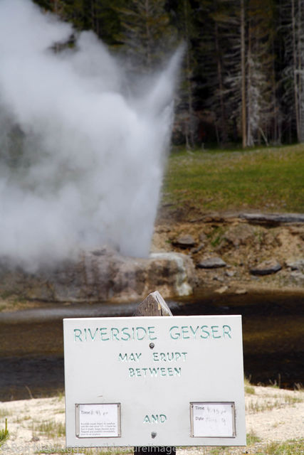 Riverside Geyser