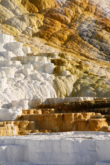 Mammoth Hot Springs